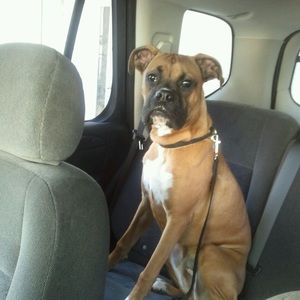 Meet your Posher, Gloria brenda